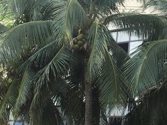 -烧蠔帮·生蚝海鲜牌档(观海店)