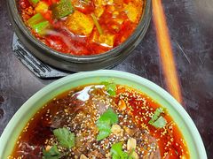 -陈麻婆豆腐总店