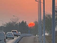 -西安浐灞国家湿地公园
