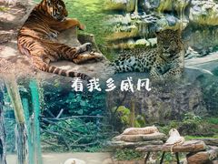 -贵州森林野生动物园
