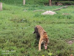 -沈阳森林动物园
