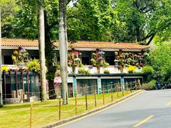 -深圳仙湖植物园