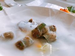 香草真菌米卷-梧桐餐厅(泉城路店)