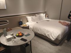 -南京THE TAI太和紫金大酒店