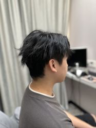 -YESIDO椰岛造型