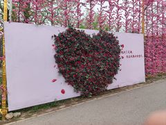 -北京凤凰岭