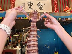 -喜记避风塘炒辣蟹(旗舰店)