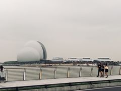 景点-野狸岛