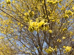 -永定河休闲森林公园