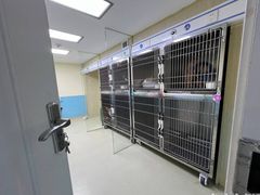 -天宠宠物医院24小时·急重症诊疗中心·全科·腔镜特色(和平分院)