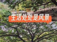 -晓港公园