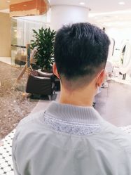 -艺之剪