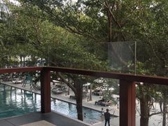 -半山半岛洲际度假酒店·观海廊