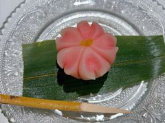 -觀芷隐轩