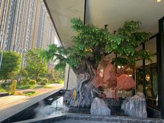 -院里寻菜·精致庭院菜(观沙岭店)