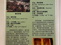 -中国紫檀博物馆