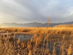 -野鸭湖国家湿地公园
