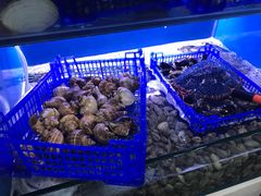 -老虎滩大连海鲜烧烤(建邺云锦路总店)