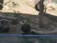 -青藏高原野生动物园