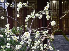 -成都杜甫草堂博物馆