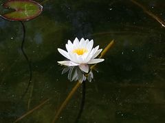 -香山公园