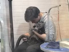 -PETKIT小佩宠物(古北店)