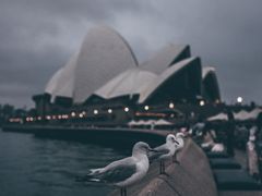 -悉尼歌剧院