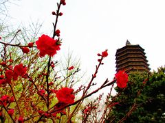 -玲珑塔公园