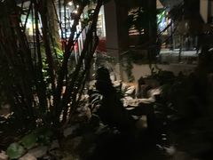 -谷咖啡·鲜花绿植花园餐厅
