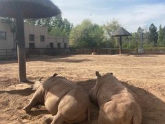 -鄂尔多斯野生动物园