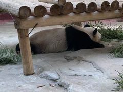 -杭州野生动物世界