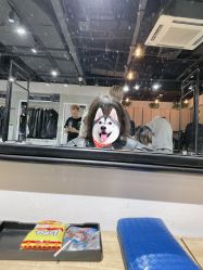 -东瀛造型