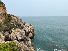 -杨梅坑