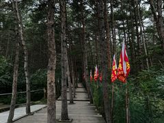 -帽儿山国家森林公园