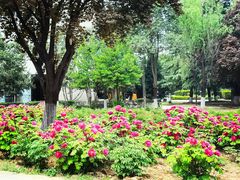 -西安外国语大学(长安校区)