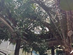 -正佳雨林生态植物园