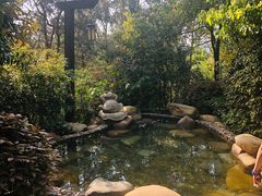 -天目湖涵田半山温泉