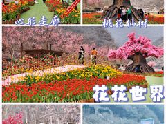 -河南宝泉旅游区