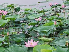-哈尔滨大剧院