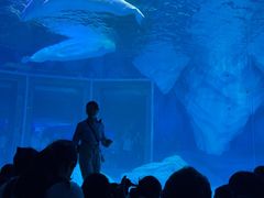 -上海海昌海洋公园-冰山北极馆