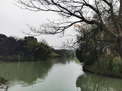 -西溪国家湿地公园