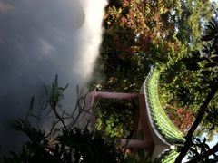 名树园-名树园