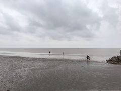 -南汇嘴观海公园