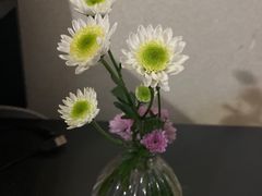 -三圣花乡旅游区