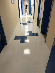 -杭州贝瑞斯美华妇儿医院·早孕·产检·儿科