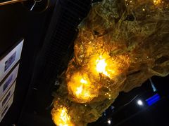 -顶特勒·黄鱼馆·特色菜(上海大世界店)