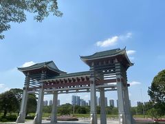 -王借岗森林公园