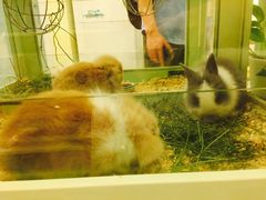 -龙猫仔乐园(惠福东路店)