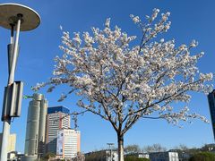 -泉城广场
