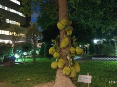 -香港理工大学